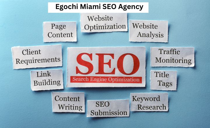 egochi miami seo agency